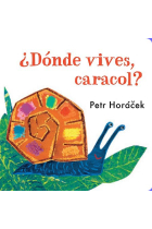 ¿Dónde vives, caracol?