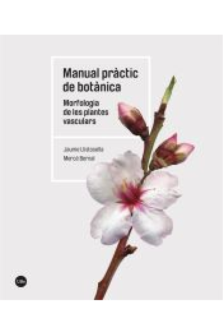 Manual pràctic de botànica. Morfologia de les plantes vasculars