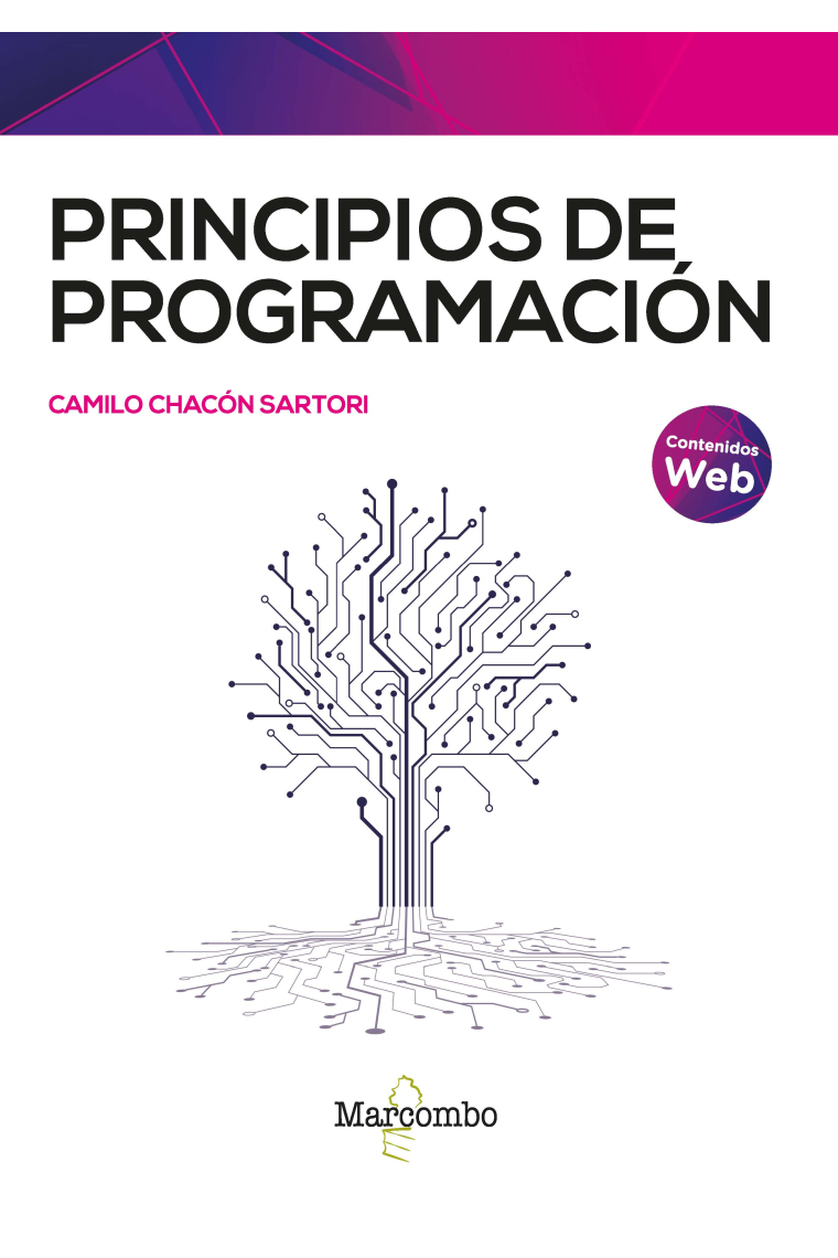 Principios de programación