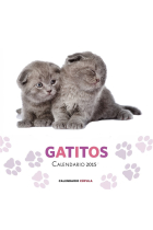 Calendario gatitos 2015