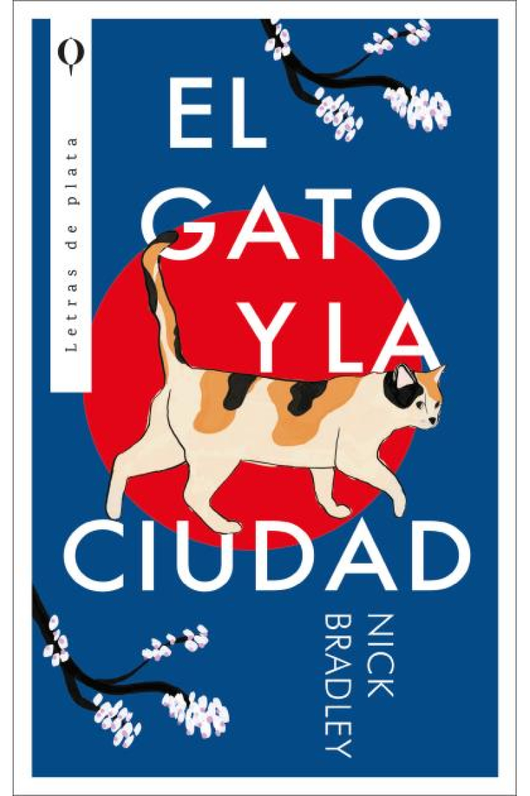 El gato y la ciudad