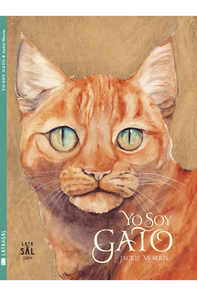 Yo soy gato