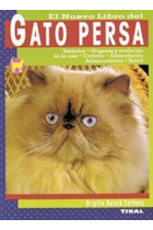 Gato persa