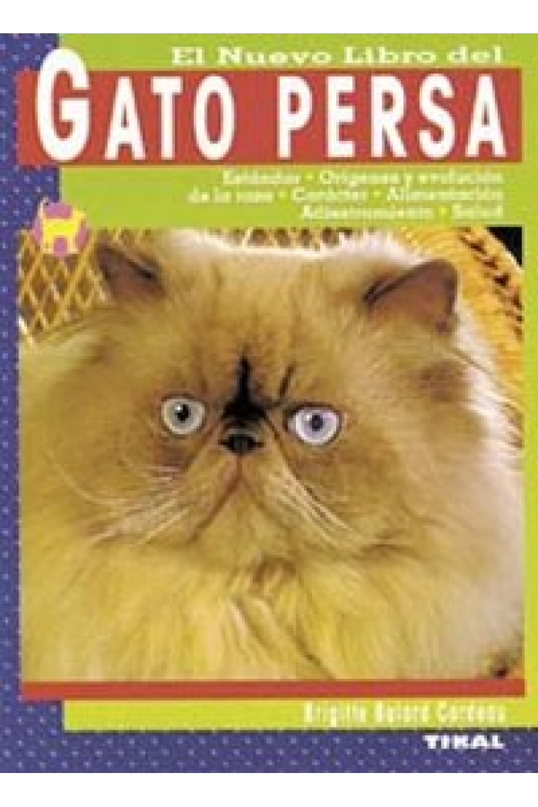 Gato persa