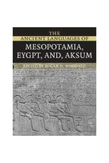 The Ancient Languages of Mesopotamia Egypt Aksum