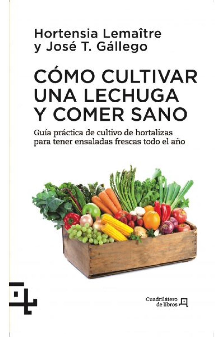 Cómo cultivar una lechuga y comer sano