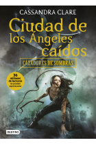 Ciudad de los ángeles caídos. Cazadores de sombras 4