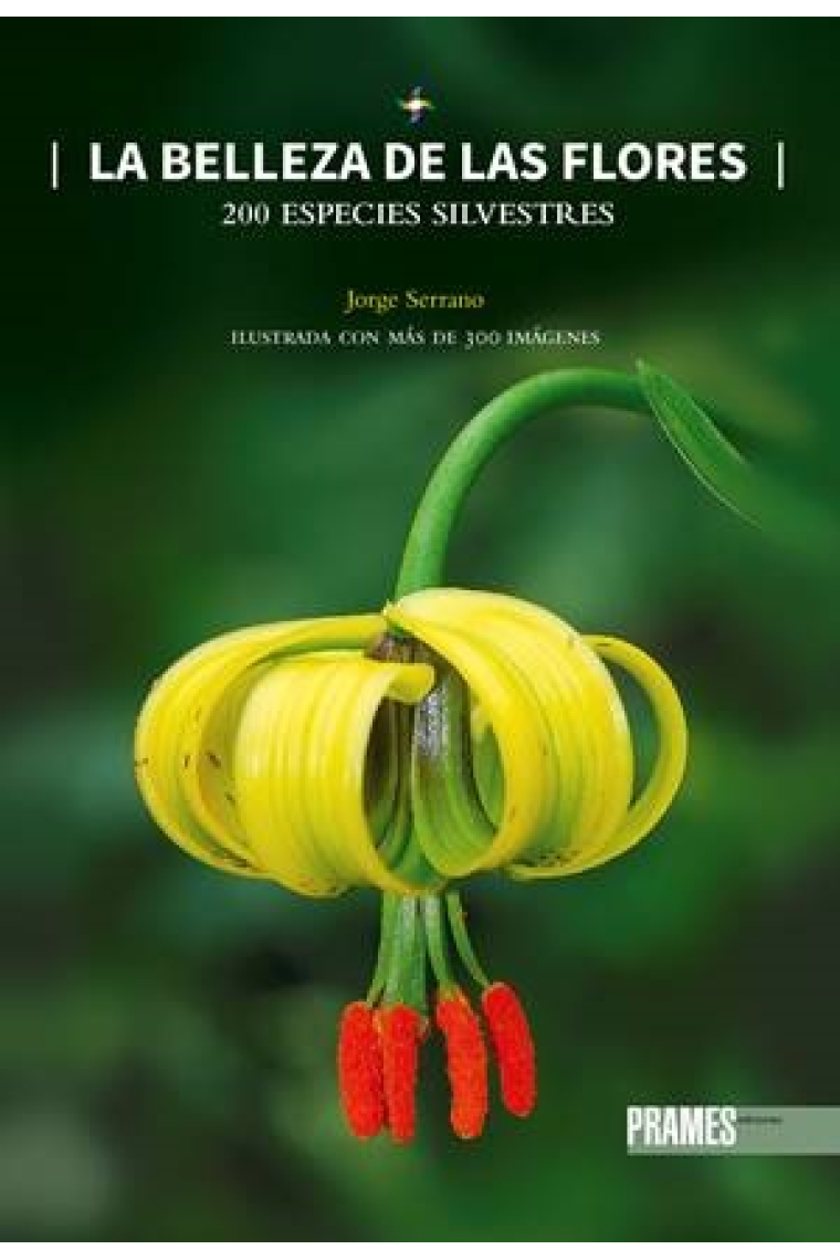 La belleza de las flores. 200 especies silvestres