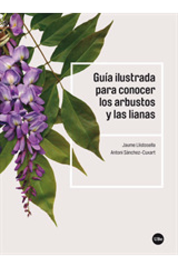 Guía ilustrada para conocer los arbustos y las lianas