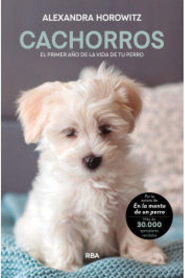 Cachorros. El primer año de la vida de tu perro