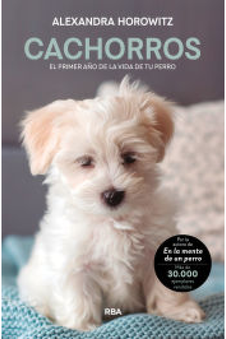 Cachorros. El primer año de la vida de tu perro