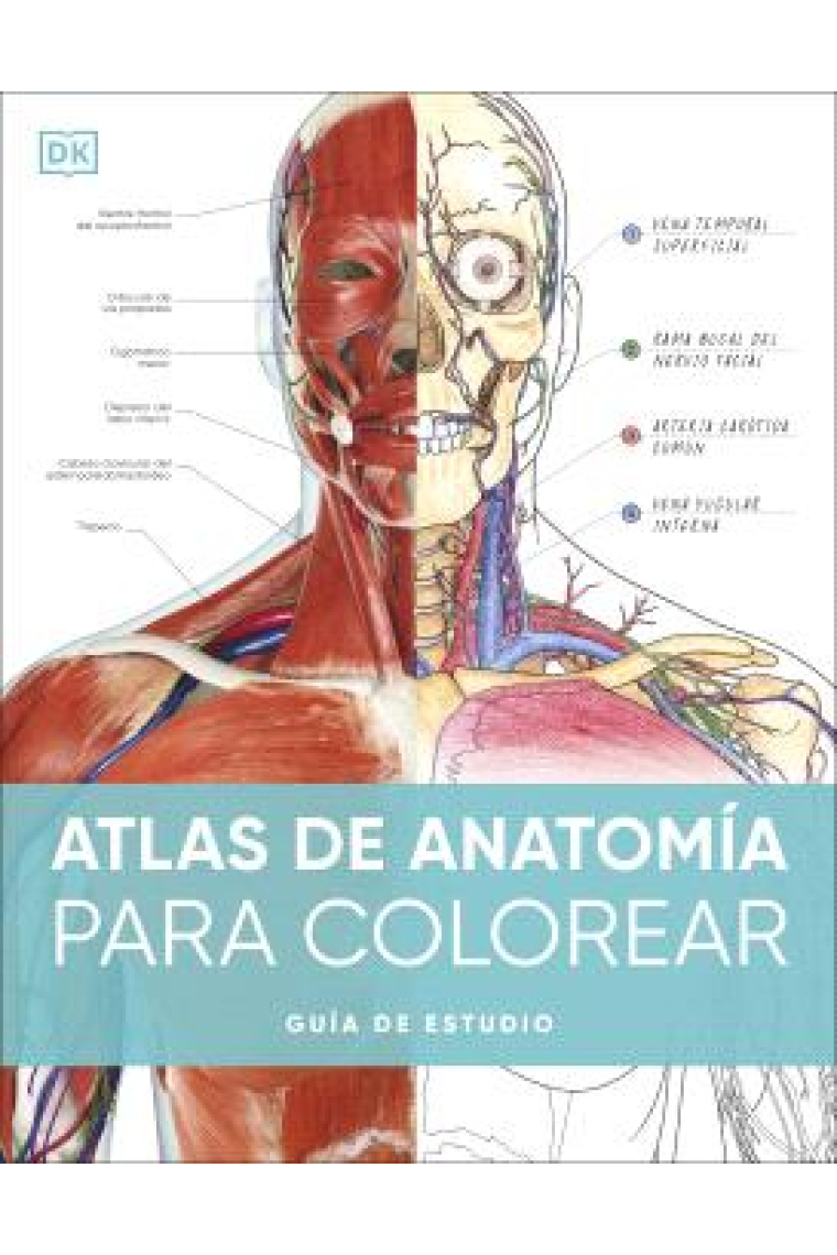 Atlas de anatomía para colorear. Guía de estudio