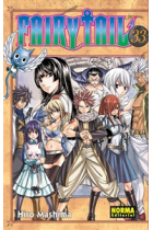 Fairy Tail 33