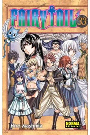 Fairy Tail 33