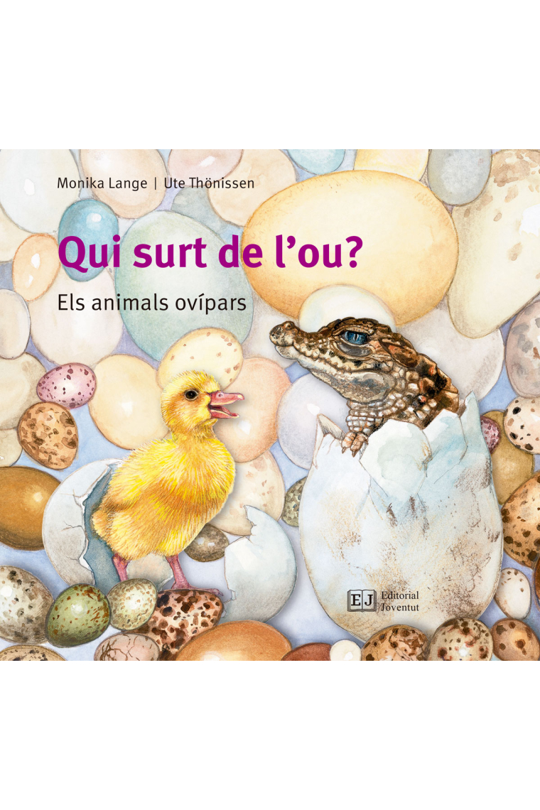 Qui surt de l'ou?. Els animals ovípars