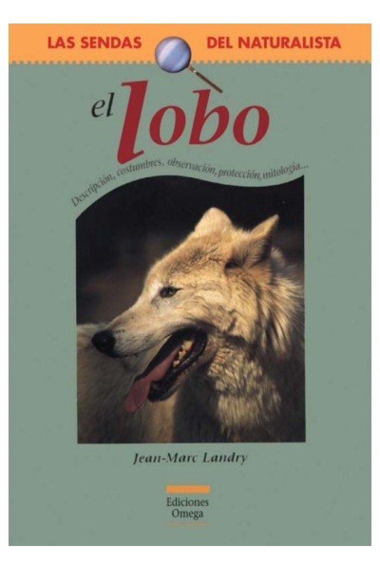 EL LOBO