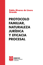 Protocolo familia, naturaleza jurídica y eficacia procesal