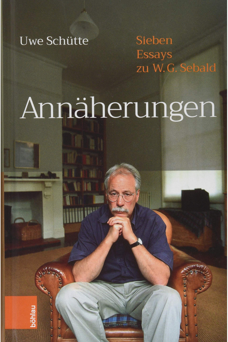 Annäherungen: Sieben Essays zu W.G.Sebald