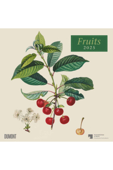 CALENDARIO 2025 FRUITS 30 X 30 CM