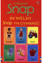 Usborne Snap in Welsh - Snap Yn Gymraeg