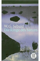 Die Ringe des Saturn