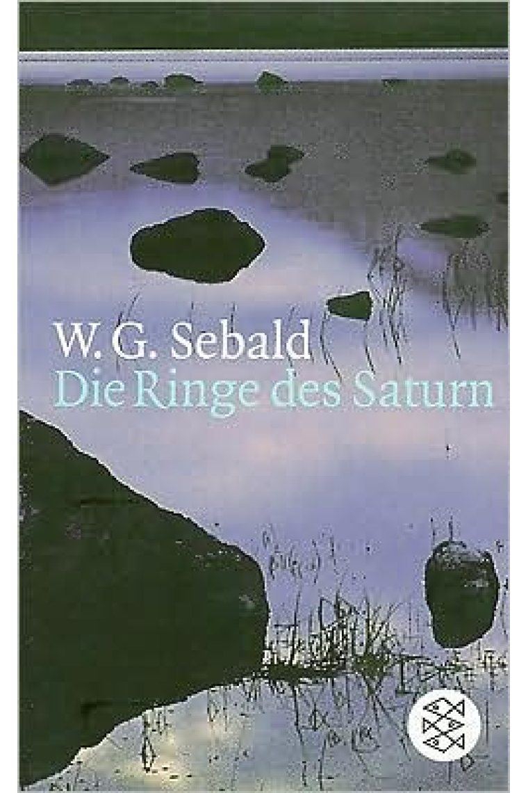 Die Ringe des Saturn