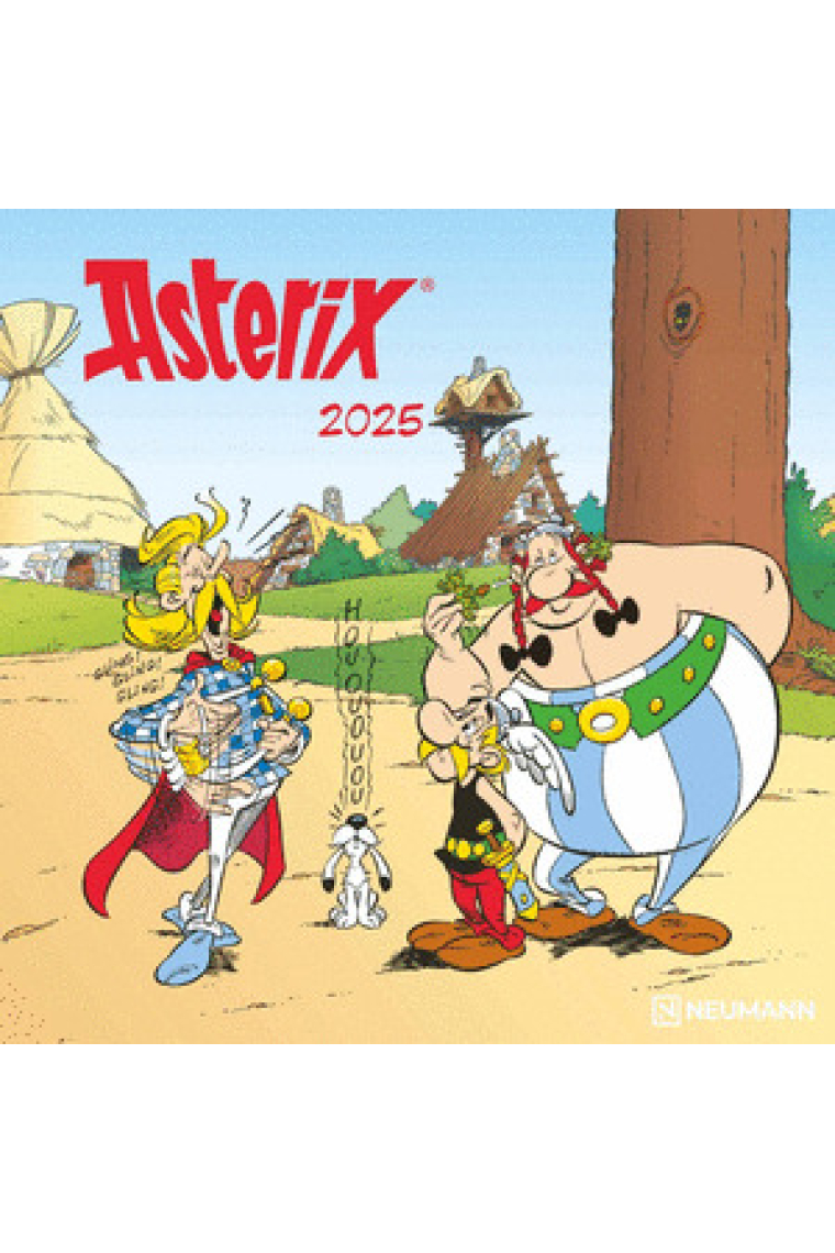 CALENDARIO 2025 ASTERIX 30X30