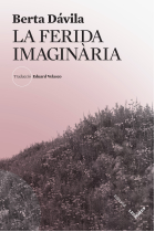 La ferida imaginària