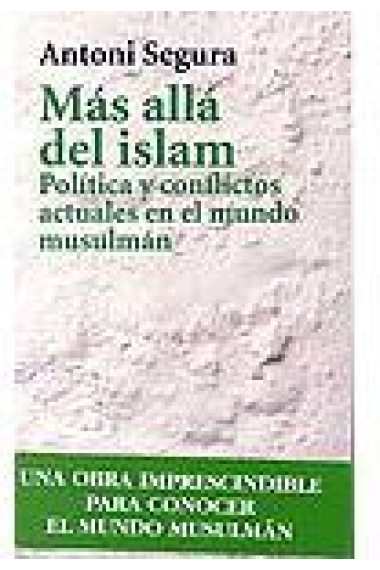 Más allá del islam. Política y conflictos actuales en el mundo musulmán