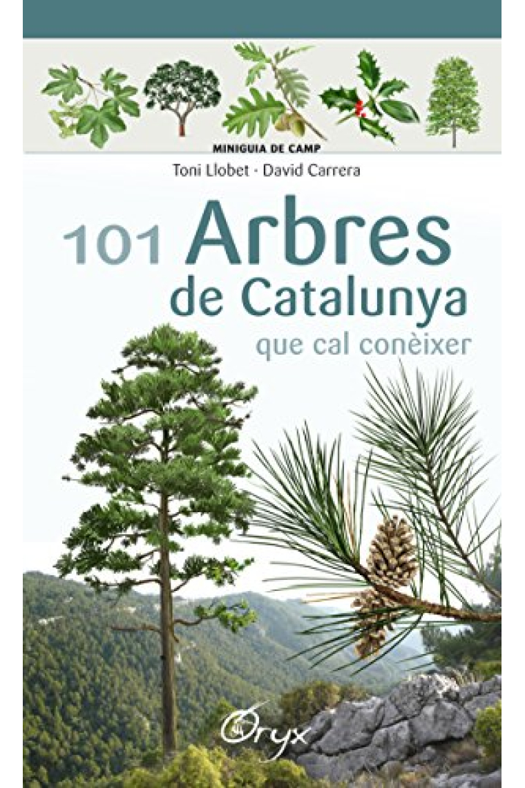 101 arbres de Catalunya. Que cal conèixer (Miniguia de camp)