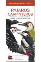 Pájaros carpinteros. Introducción a las especies ibéricas, baleares, canarias y norteafricanas