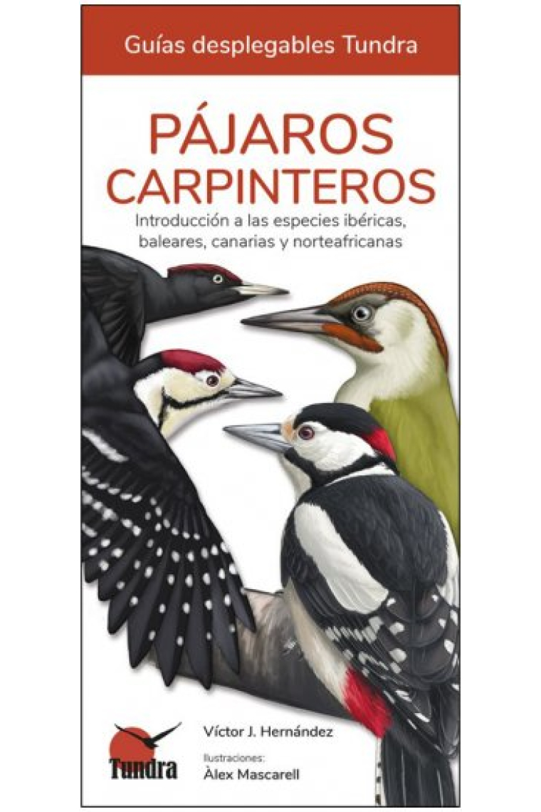 Pájaros carpinteros. Introducción a las especies ibéricas, baleares, canarias y norteafricanas