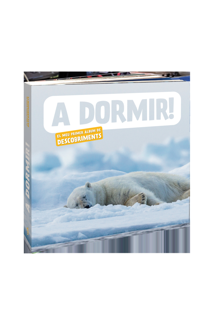 A dormir! (El meu primer àlbum de descobriments)