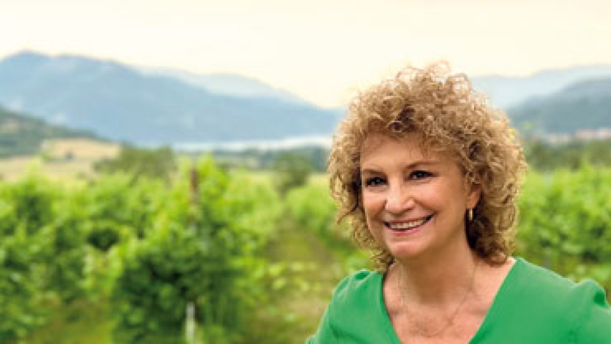 El silenci dels voltors