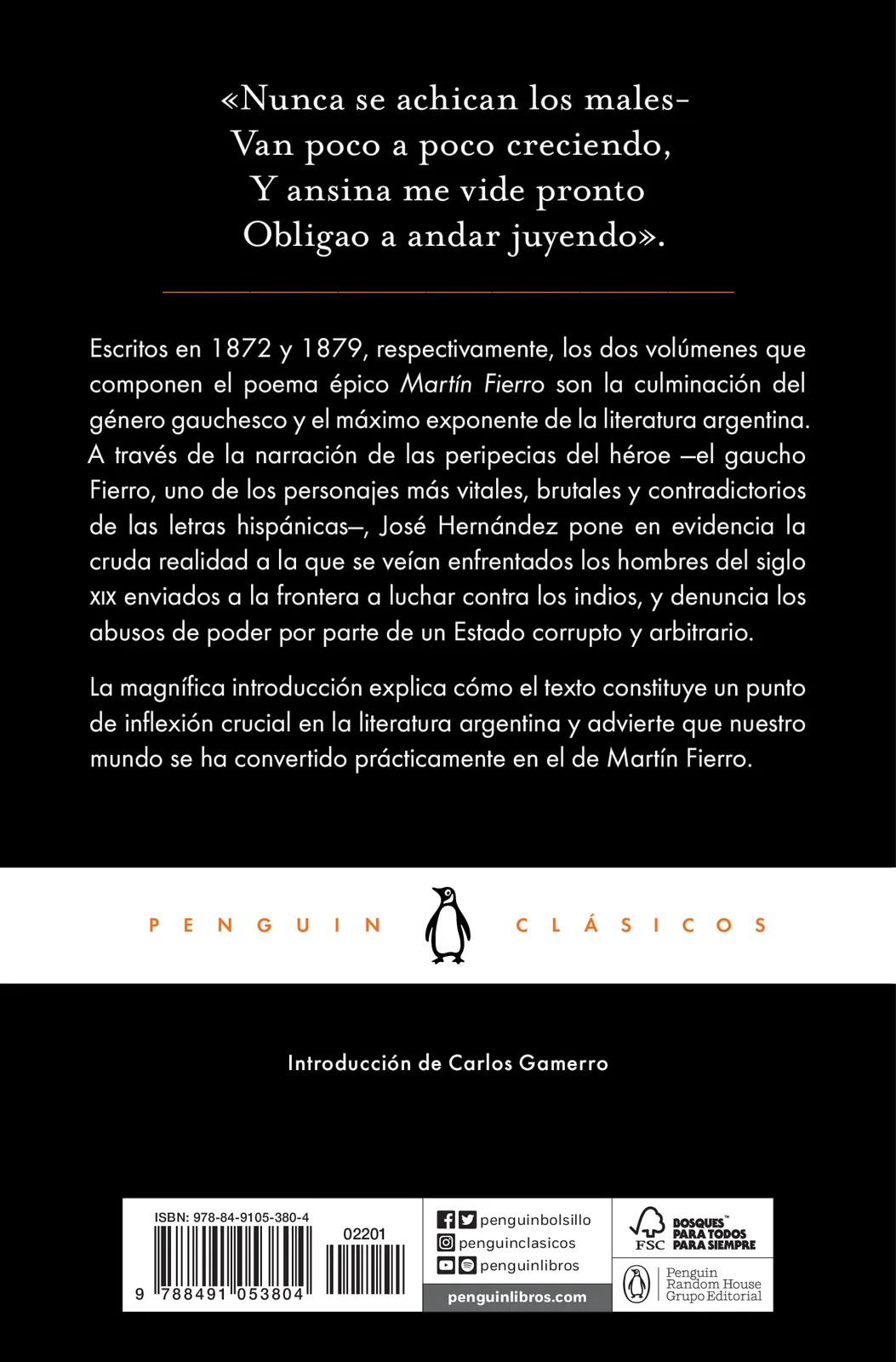 Martín Fierro