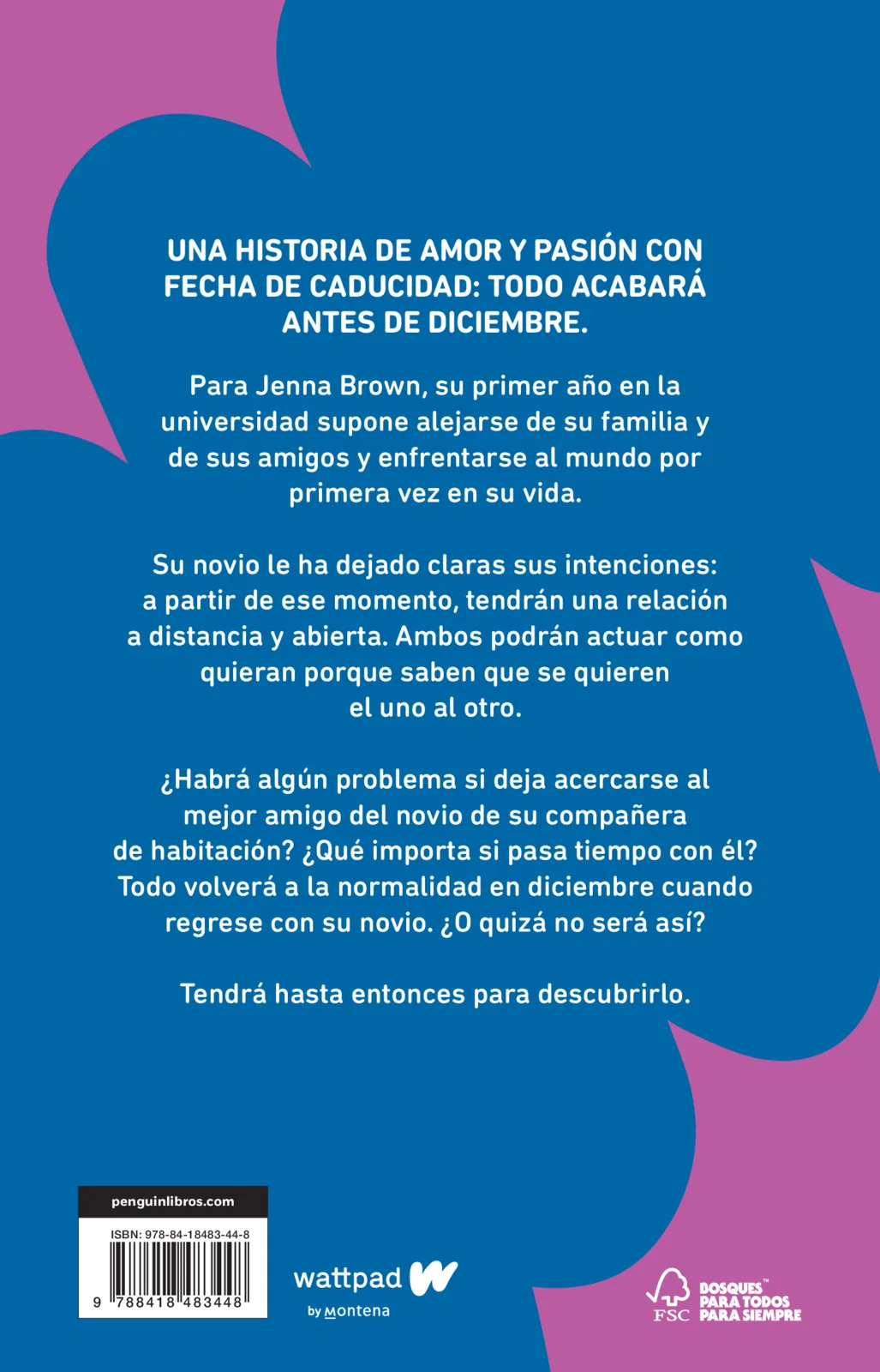 Antes de diciembre (edición revisada por la autora) (Meses a tu lado 1)
