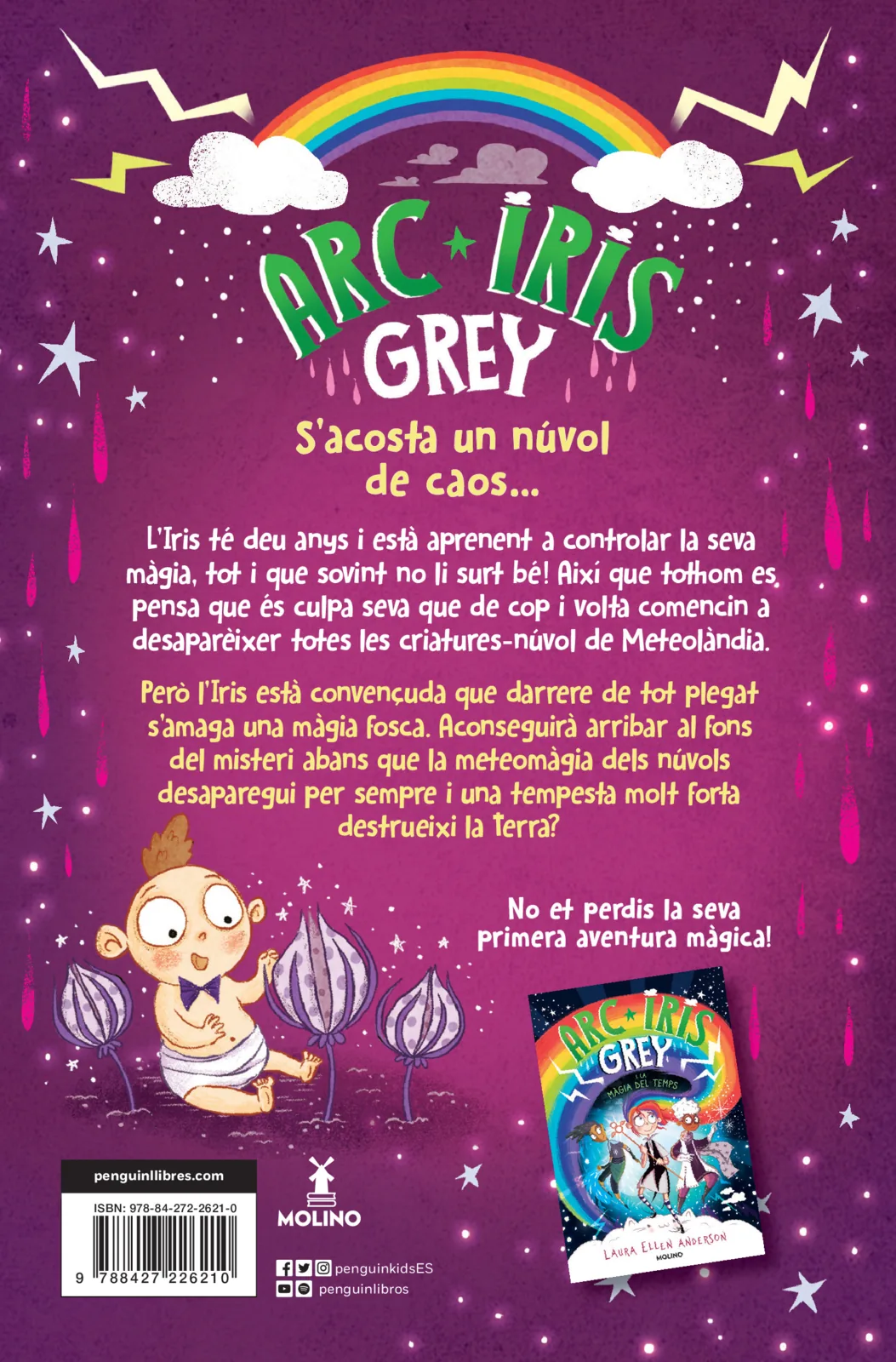 Arc Iris Grey 2 - Arc Iris Grey i l'ull de la tempesta