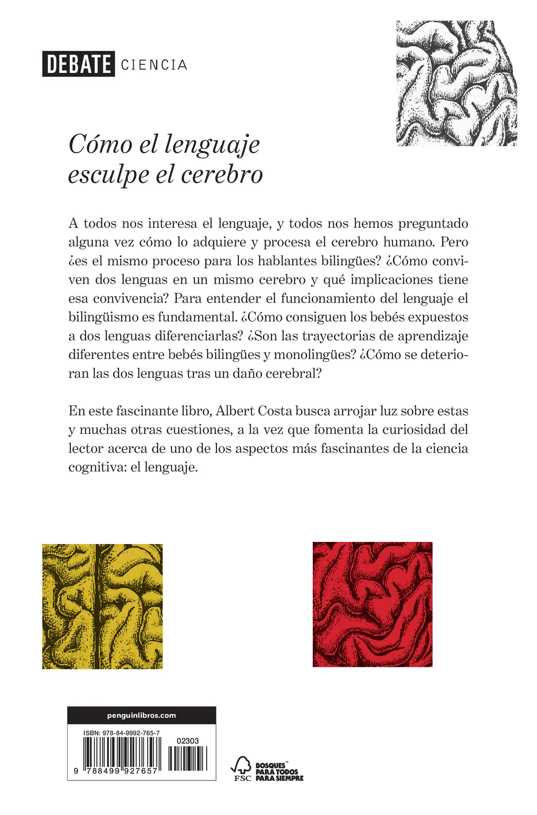 El cerebro bilingüe