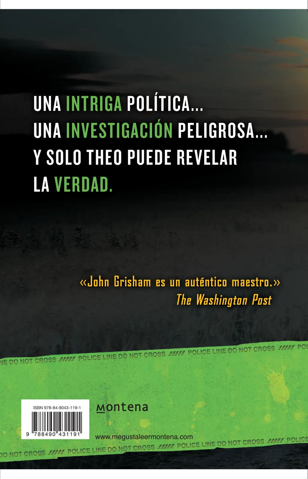 El activista (Theodore Boone 4)