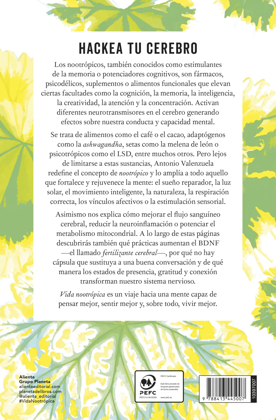 Vida nootrópica