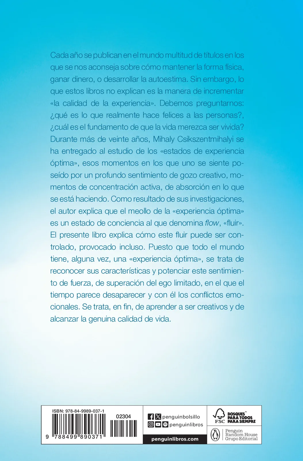 Fluir (Flow)