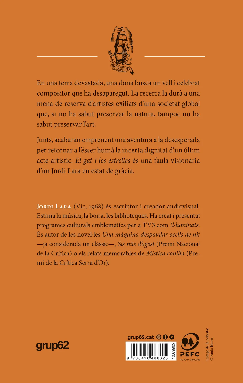 El gat i les estrelles
