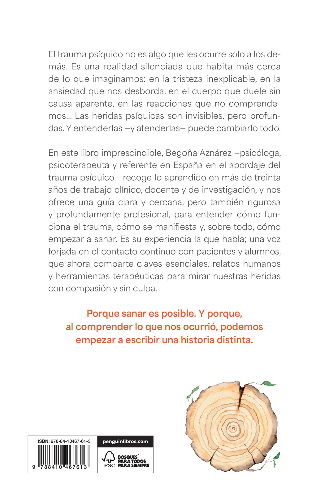 Las heridas que no vemos