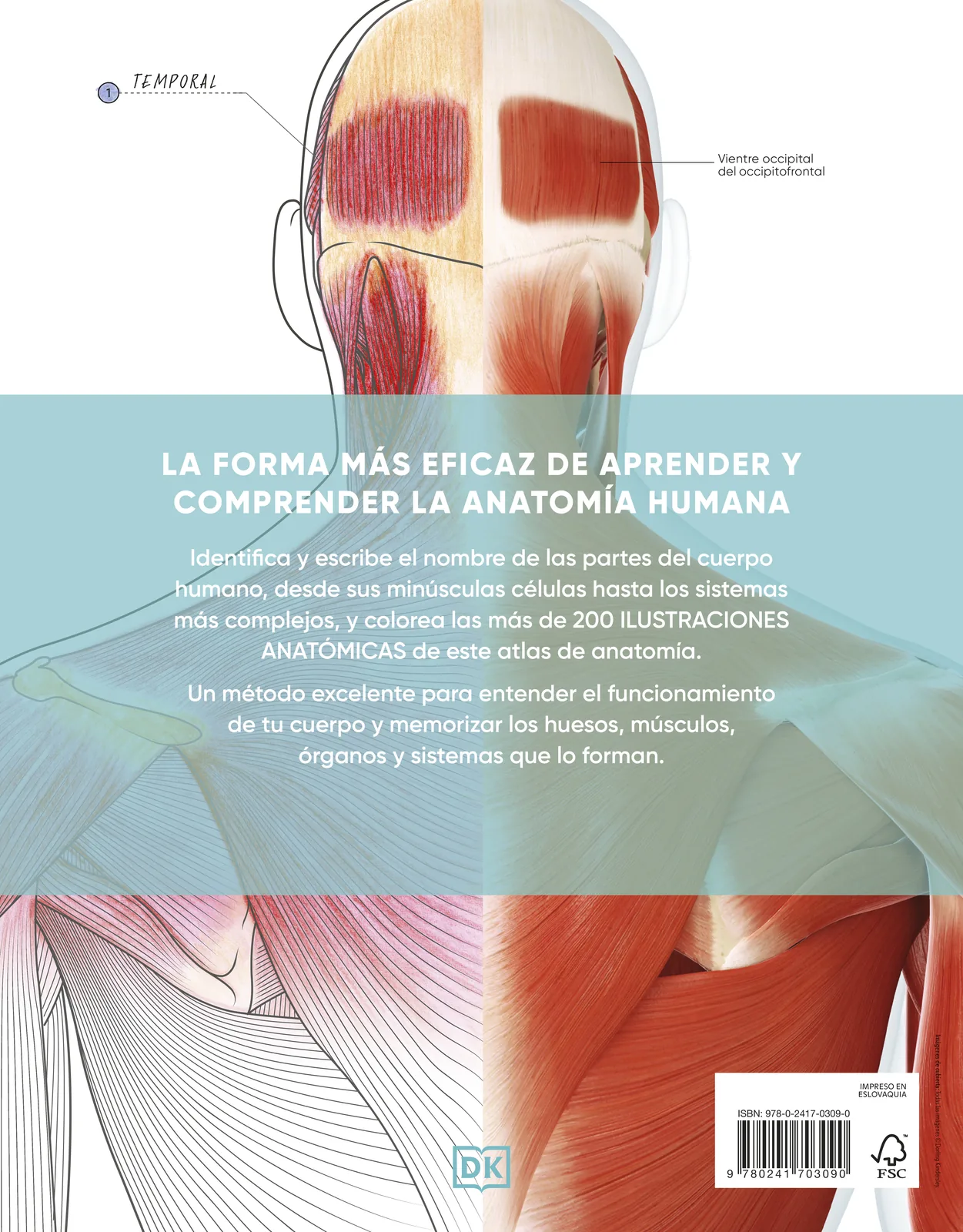 Atlas de anatomía para colorear