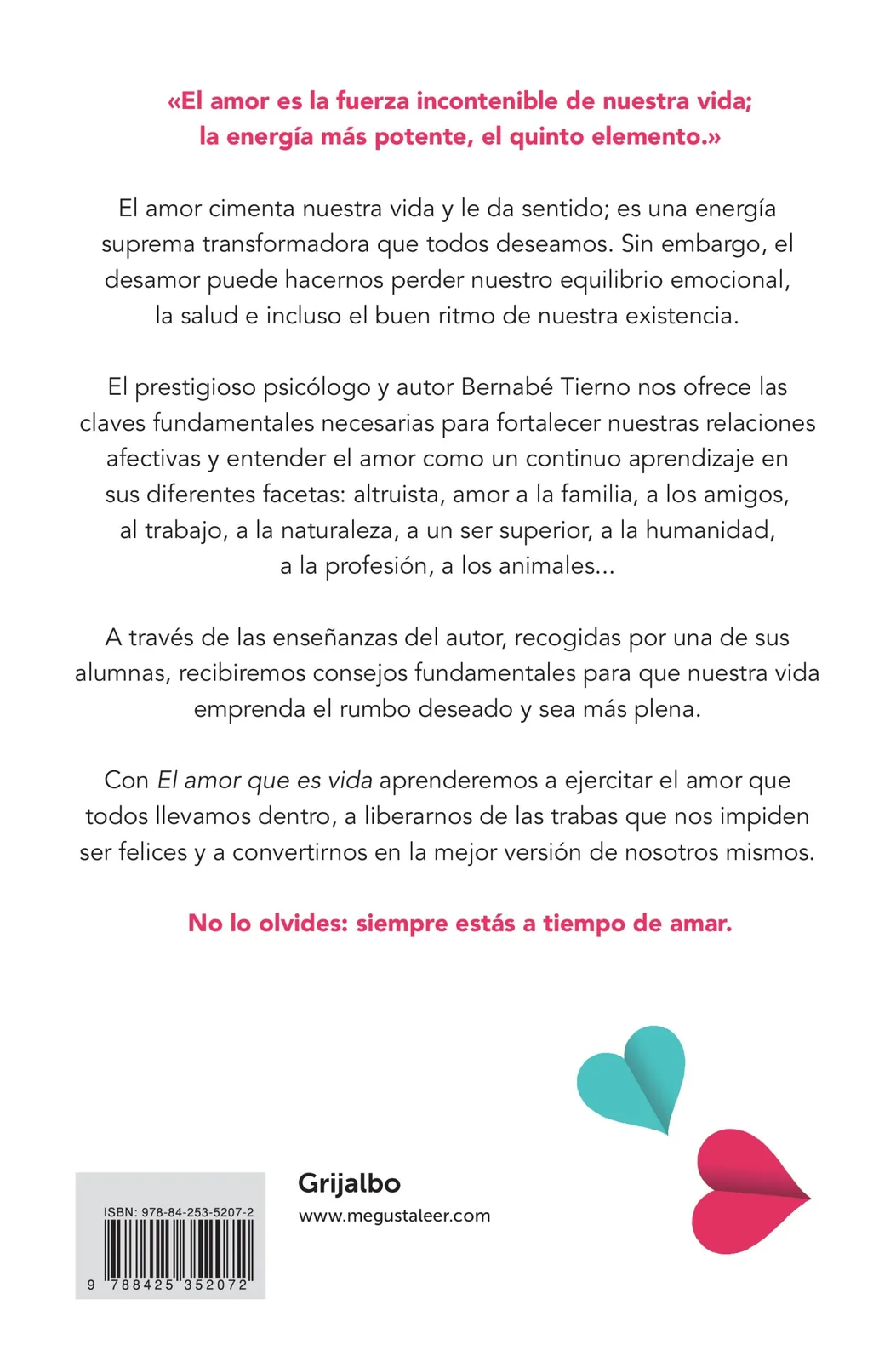 El amor que es vida
