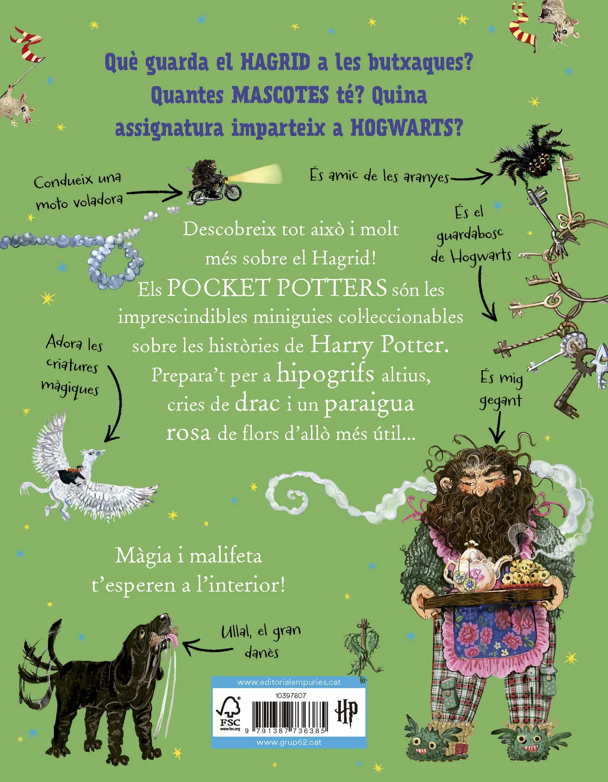 Hagrid (Pocket Potters 6)