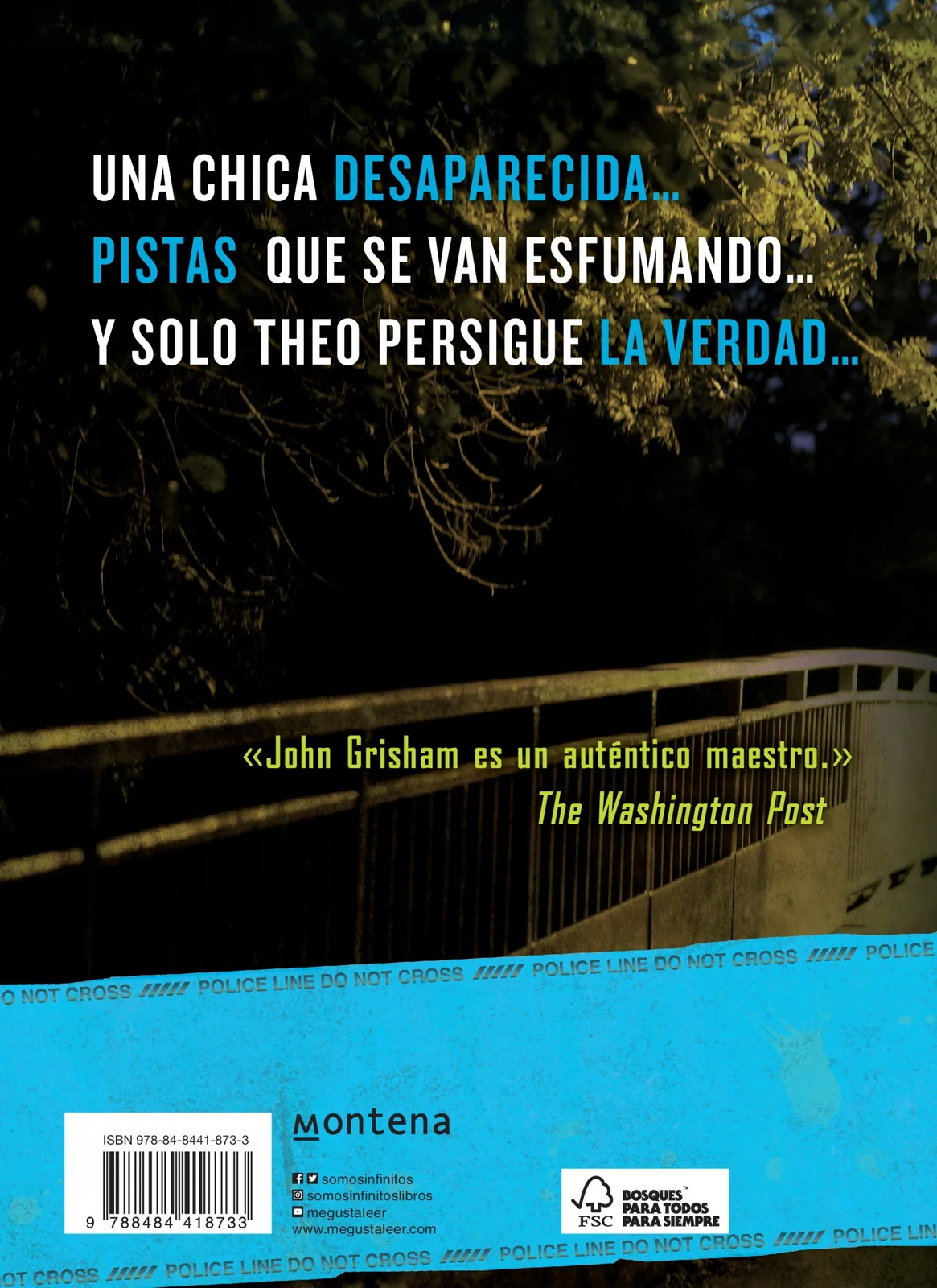 El secuestro (Theodore Boone 2)