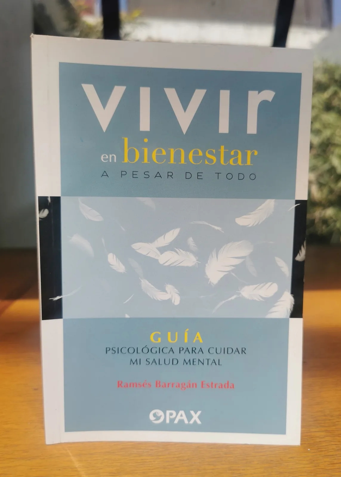 Vivir en bienestar