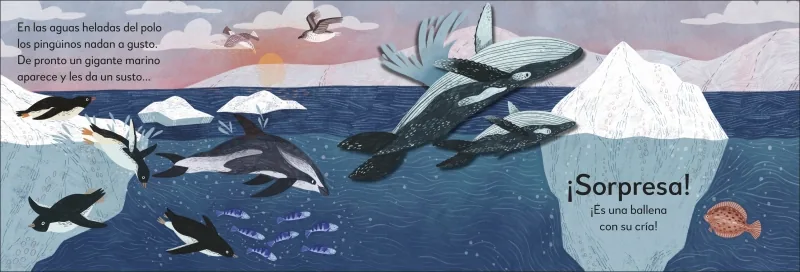 ¡Pop-Up sorpresa! - Bajo el mar