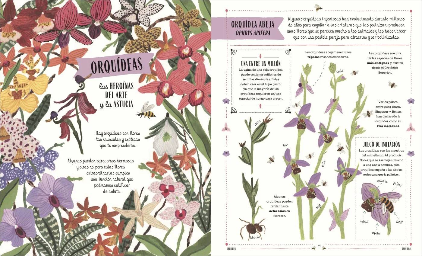Jardín